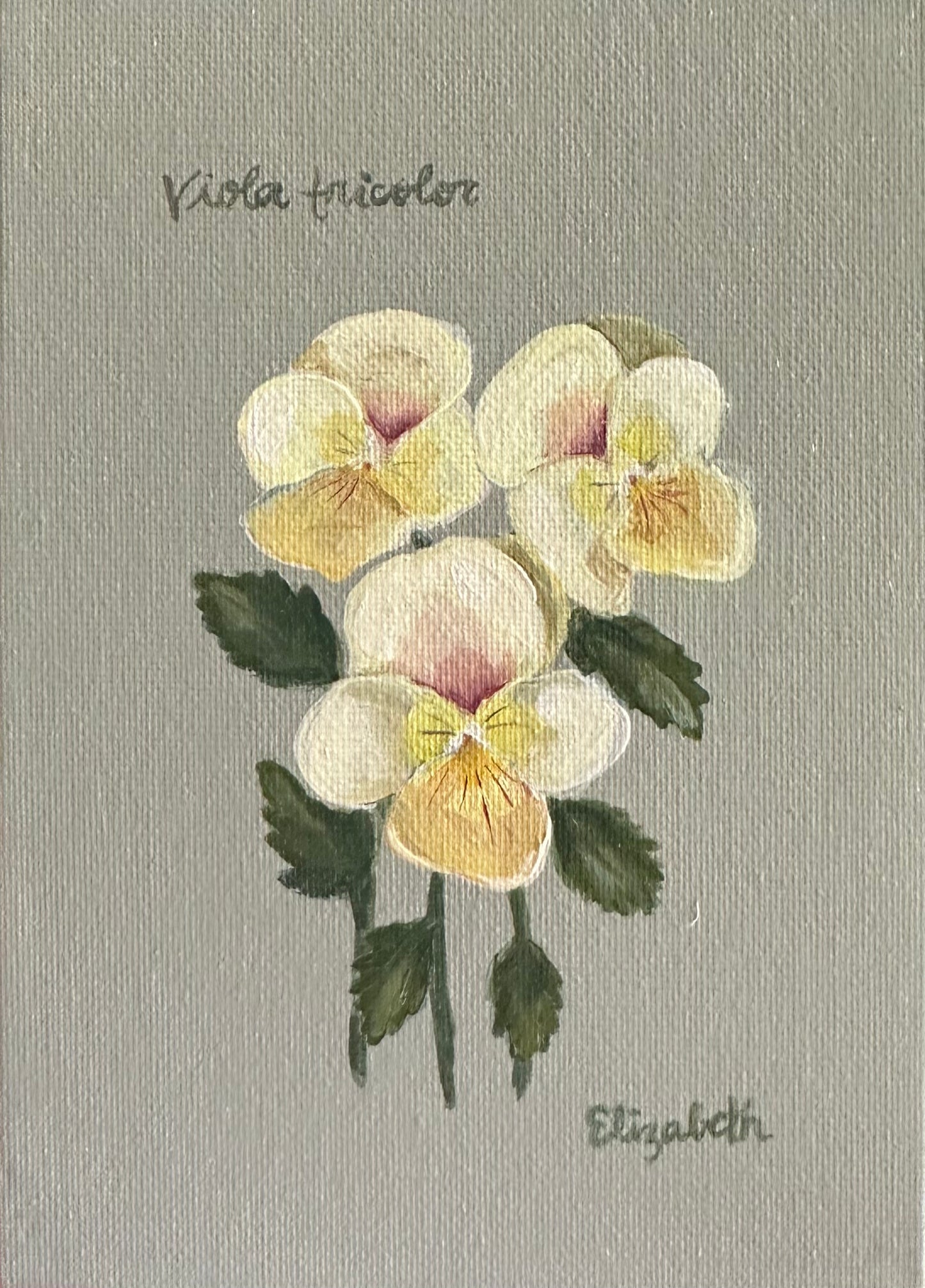 Yellow Pansies