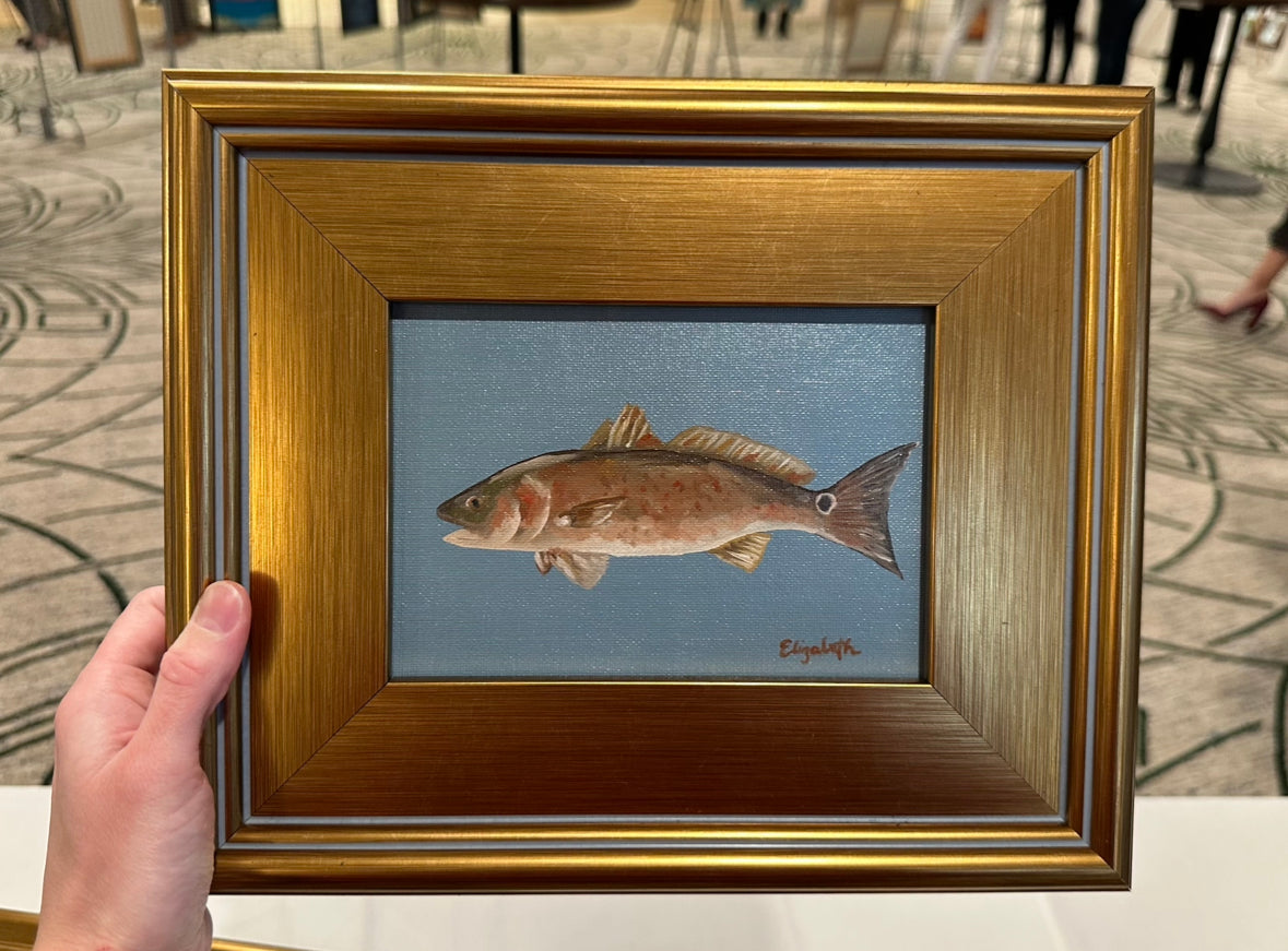 Red Drum
