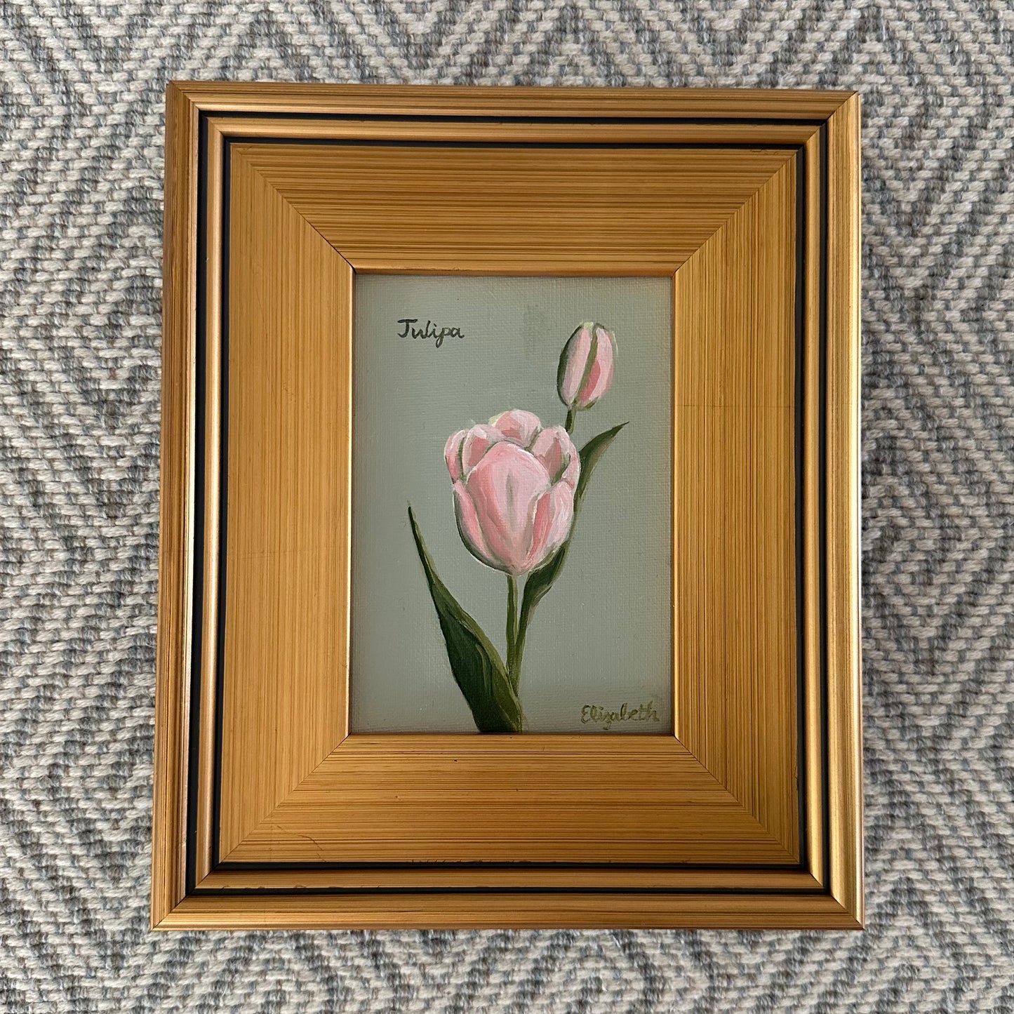 Pink Tulip