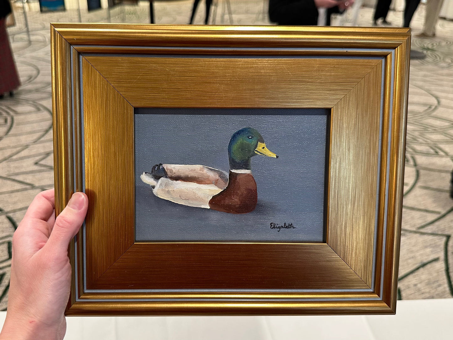 Mallard Duck